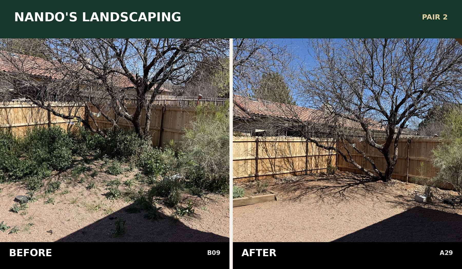 Pair 2: B09 before cleanup and A29 after weed removal beneath a mature tree